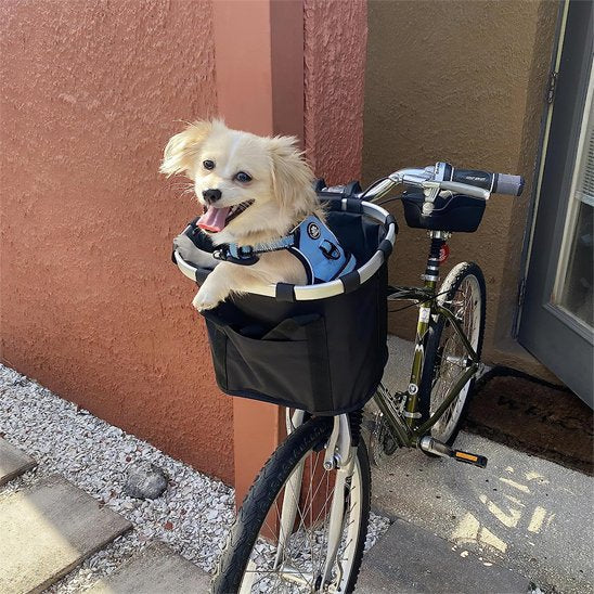 Petit chien de type Ăpagneul TibĂ©tain souriant dans son panier vĂ©lo SĂ©curiride noir, installĂ© sur un vĂ©lo de ville devant une maison, illustrant le confort du transport canin.