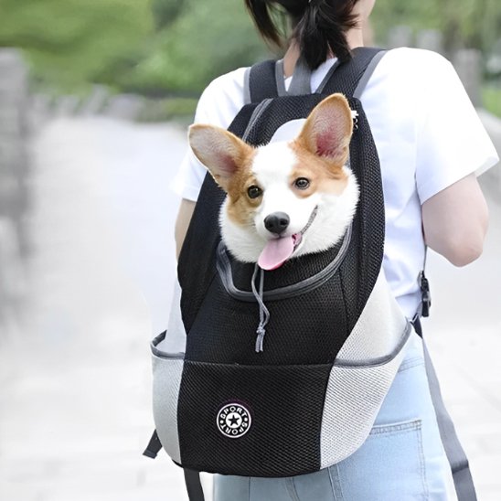 Sac à dos pour chien