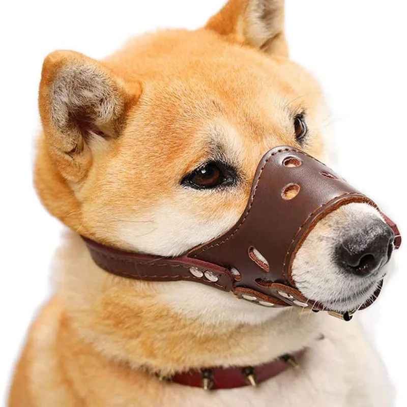 Muselière en cuir véritable pour chien de petite taille, modèle Muzzle-Flex ajustable couleur chocolat, idéale pour le confort et la sécurité.
