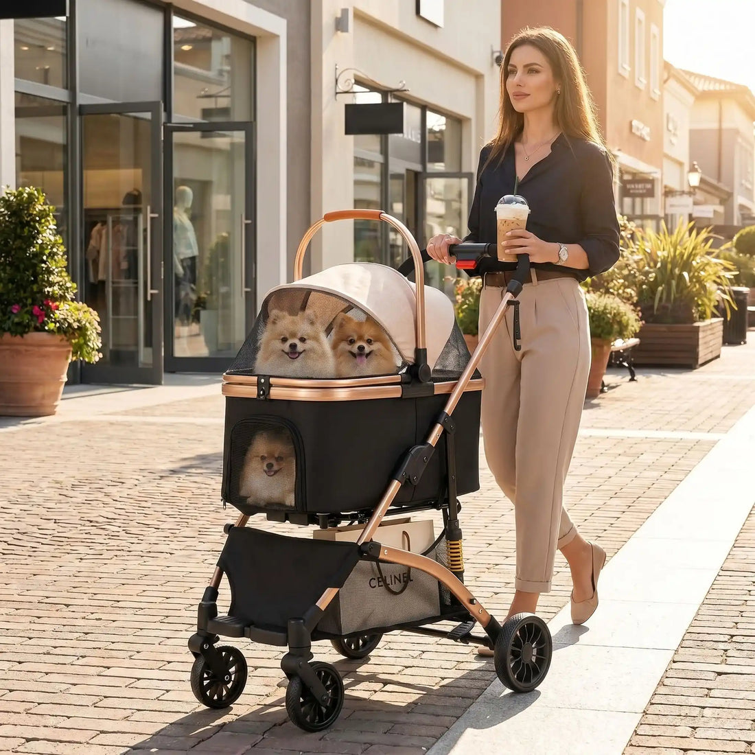 Poussette pour chien : Le Guide Complet pour Transporter Votre Toutou en Toute Sécurité