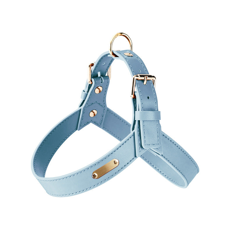 Harnais pour chien Rocky en cuir bleu ciel avec doublure intérieure assortie, doté de boucles de réglage en métal doré et d'un anneau de fixation robuste, présenté sur fond blanc.