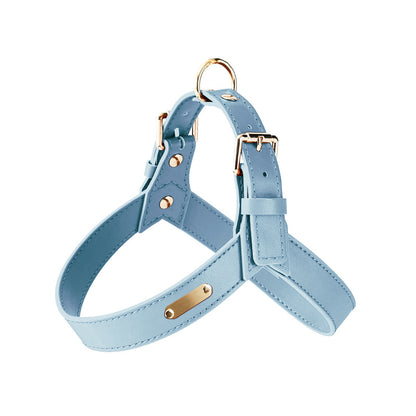 Harnais pour chien Rocky en cuir bleu ciel avec doublure intérieure assortie, doté de boucles de réglage en métal doré et d'un anneau de fixation robuste, présenté sur fond blanc.