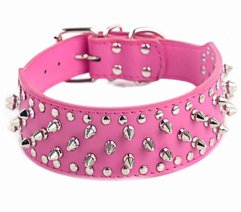 Collier chien| Titan