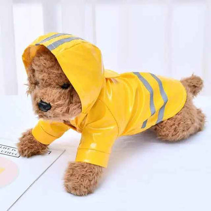 Manteau pour chien imperméable| Roméo