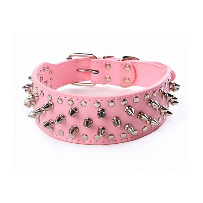 Collier chien| Titan