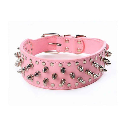 Collier chien| Titan