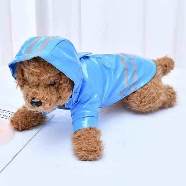 Manteau pour chien imperméable| Roméo