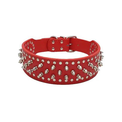 Collier chien| Titan