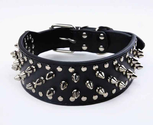 Collier chien| Titan