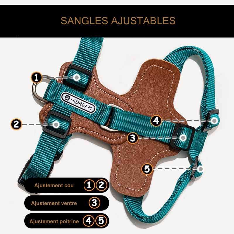 Schéma technique du harnais turquoise Zuma montrant les 5 points de sangles ajustables pour le cou, le ventre et la poitrine.