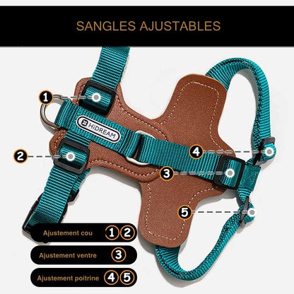 Schéma technique du harnais turquoise Zuma montrant les 5 points de sangles ajustables pour le cou, le ventre et la poitrine.