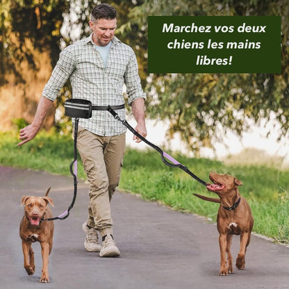 Homme marchant sereinement sur un sentier avec deux chiens de type Pitbull attachés à une laisse mains libres BananaSplit, illustrant la facilité de contrôle et la liberté des mains.