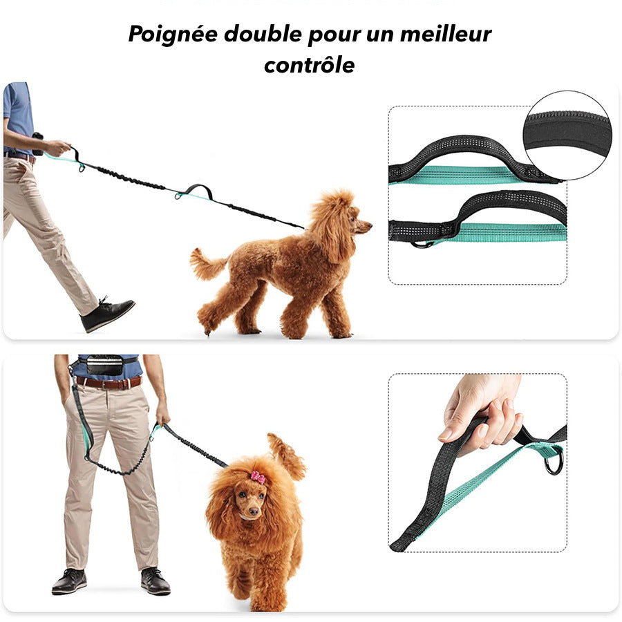 Infographie montrant la double poignée de la laisse BananaSplit en gros plan et en situation réelle avec un caniche royal, illustrant le contrôle rapproché et la sécurité.