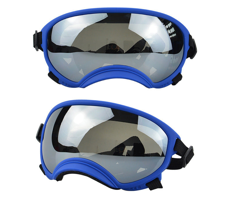 lunettes pour chien teintés MultiShades pour protéger les yeux de votre compagnon à quatre pattes des intempéries.