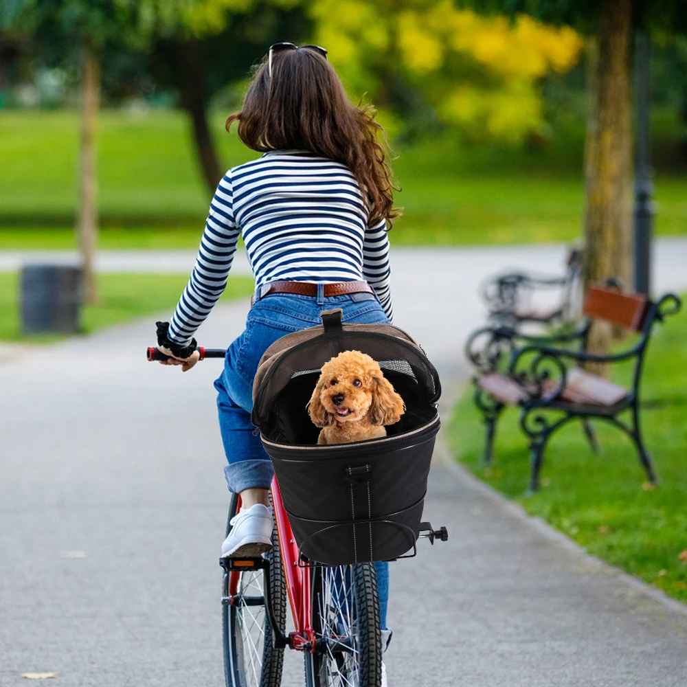 Petit chien Caniche Toy installé dans un panier de vélo arrière noir lors d'une balade au parc avec sa maîtresse.