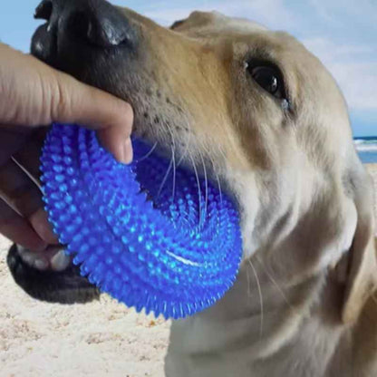 Un chien de race Labrador beige mordille joyeusement un anneau de dentition bleu texturé et flexible de la marque Pitou et moi.
