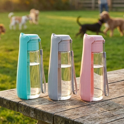 Gourde pour chien portable et pliable Hydra disponible en turquoise, gris et rose, idéale pour les balades et la randonnée.