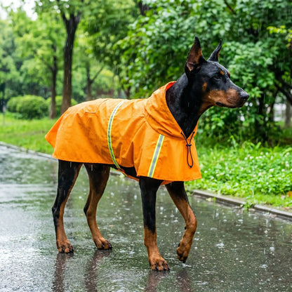 Grand chien de race Doberman portant le manteau imperméable Juliette orange vif sous la pluie, avec une bande réfléchissante visible sur le flanc.