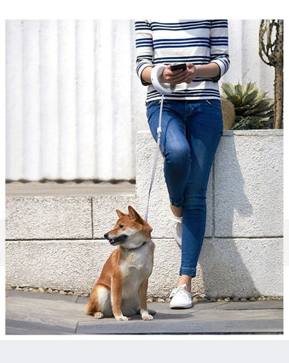 Laisse poignet mains libres pour petit chien, enrouleur rétractable blanc au design circulaire, idéal pour envoyer des messages ou téléphoner en promenant son animal, boutique Pitou et moi.