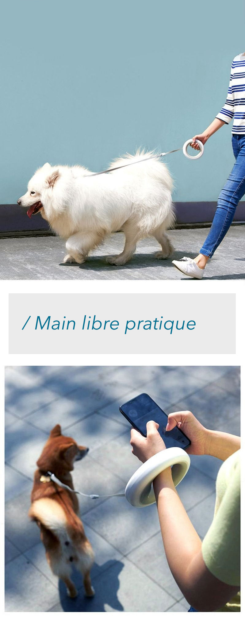 Laisse mains libres pour chien urbain, accessoire de promenade pratique pour utiliser son téléphone ou marcher librement, laisse rétractable design blanc, boutique Pitou et moi.