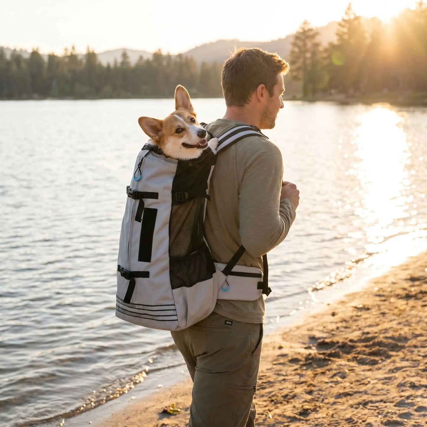 Homme de dos portant un chien Corgi dans le sac à dos de transport gris L'inséparable au bord d'un lac au coucher du soleil.