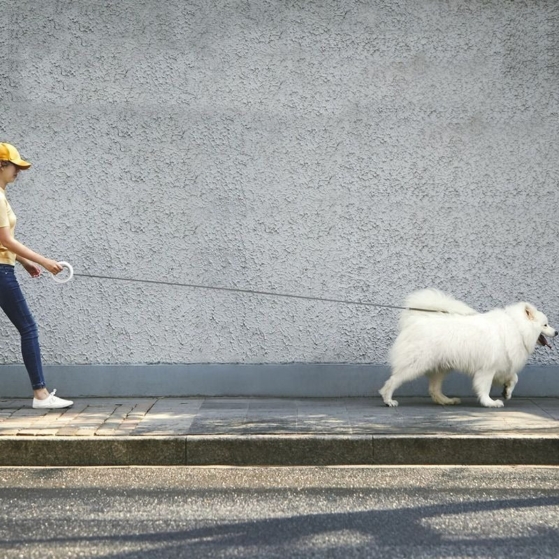 Femme en promenade urbaine utilisant la laisse mains libres L'ovni fixée au poignet pour guider un chien Samoyède blanc, illustrant la liberté de mouvement et le confort.
