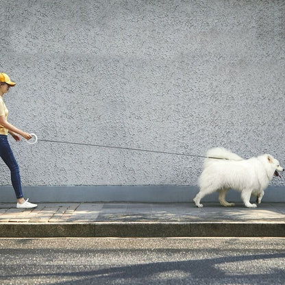 Femme en promenade urbaine utilisant la laisse mains libres L'ovni fixée au poignet pour guider un chien Samoyède blanc, illustrant la liberté de mouvement et le confort.