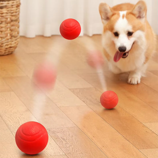 Une balle rouge pour chien qui rebondit sur un sol en bois avec un chien Corgi en arrière-plan.
