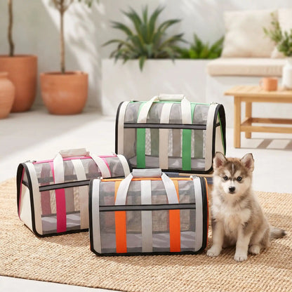 Trois sacs de transport pour chien Le Rétro de différentes couleurs (Rose, Vert et Orange) posés sur un tapis avec un chiot Pomsky assis à côté, montrant les parois en maille et le design moderne.