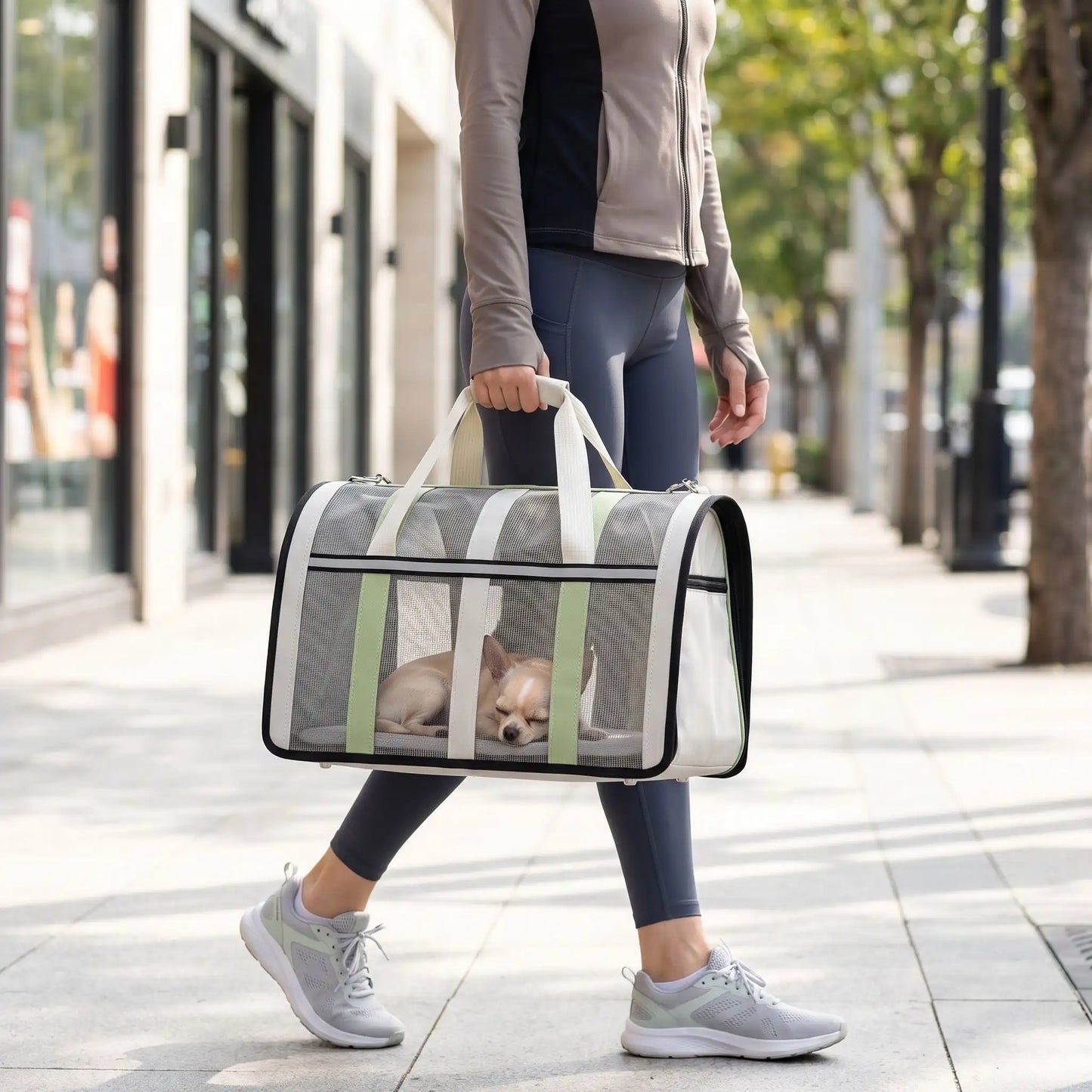 Femme portant à la main le sac de transport Le Rétro gris et vert avec un petit Chihuahua endormi à l'intérieur, illustrant le confort et la transparence du sac lors d'une balade urbaine