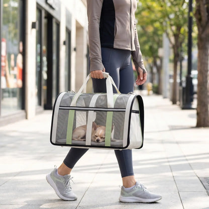 Femme portant à la main le sac de transport Le Rétro gris et vert avec un petit Chihuahua endormi à l'intérieur, illustrant le confort et la transparence du sac lors d'une balade urbaine