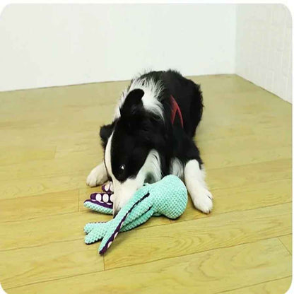 Chien Border Collie allongé sur un parquet en bois, en train de mâcher et de jouer avec le jouet pour chien en forme de poulpe turquoise et violet.
