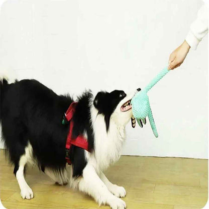 Un chien Border Collie avec un harnais rouge joue à tirer sur les tentacules d'un jouet pour chien en forme de poulpe turquoise, tenu par une main humaine.