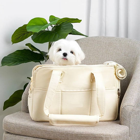 Petit chien blanc de type Bichon confortablement installé dans un sac de transport en coton beige posé sur un fauteuil, à côté d'une plante verte.