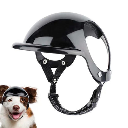 Casque de moto noir pour chien avec sangles ajustables, présenté en gros plan et porté par un chien de race Berger Australien sur fond blanc.