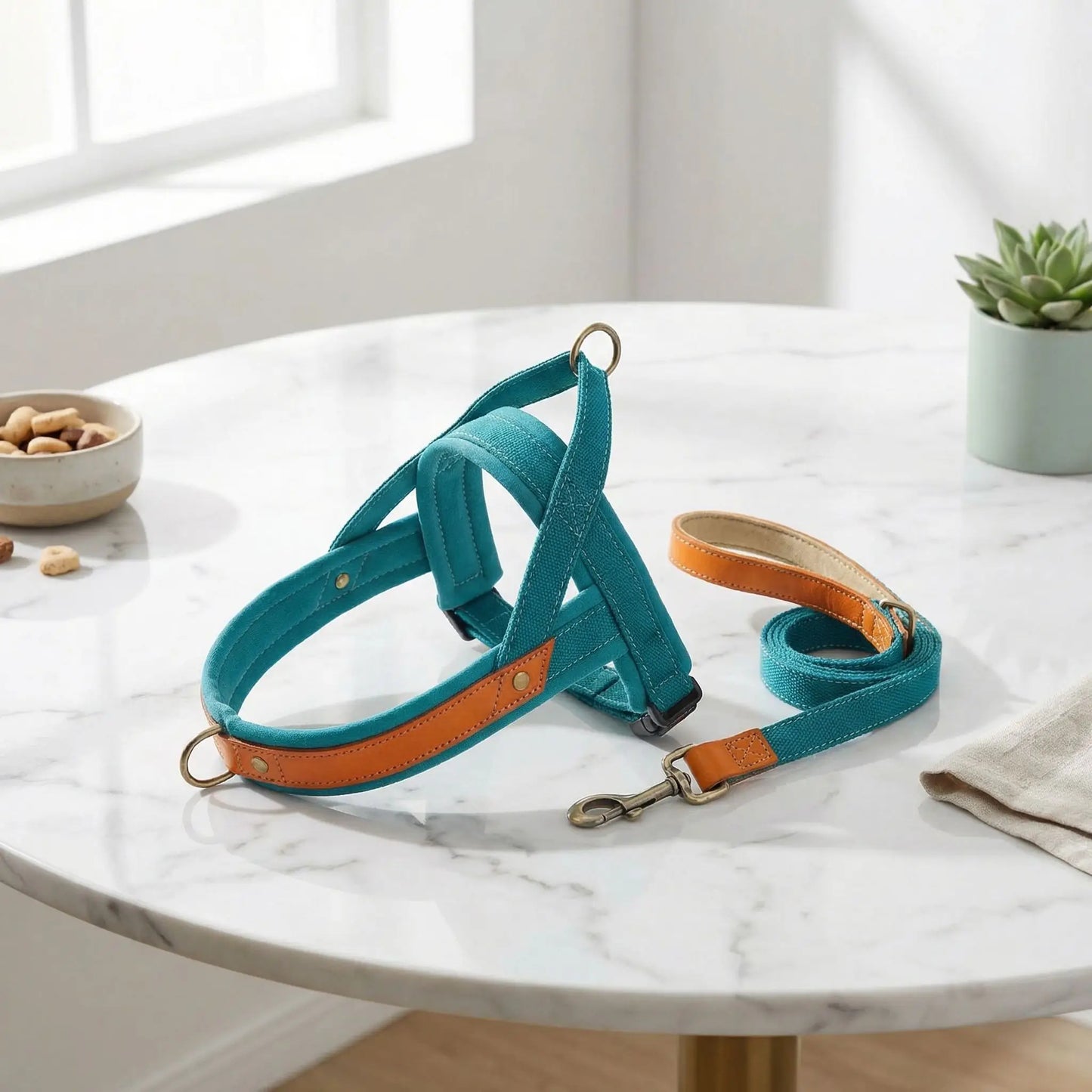 Harnais ergonomique turquoise et orange pour petit et moyen chien, incluant une laisse de 150 cm coordonnée, idéal pour un contrôle en douceur et une visibilité accrue lors des balades.