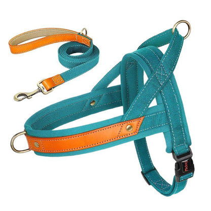 Harnais ergonomique turquoise et orange pour petit et moyen chien, incluant une laisse de 150 cm coordonnée, idéal pour un contrôle en douceur et une visibilité accrue lors des balades.