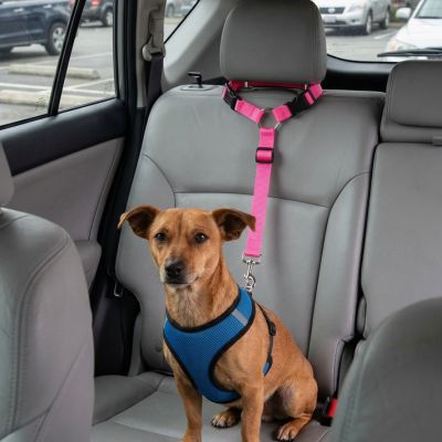Laisse pour chien| Trixie