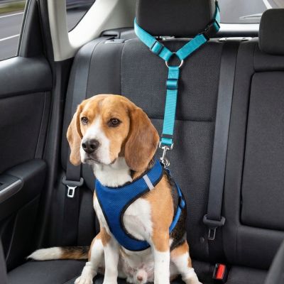 Laisse pour chien| Trixie