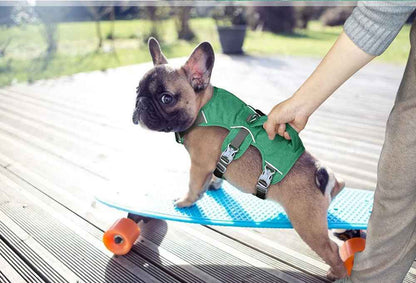 Petit Bouledogue français (Frenchie) portant le harnais UniDog vert pomme, debout sur un skateboard bleu, illustrant la coupe ajustable et le confort du poitrail pour les petites races.