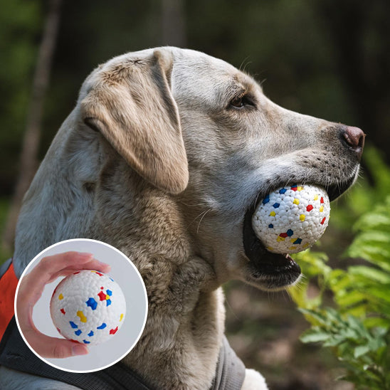 Balle pour chien indestructible et flottante en polyuréthane, jouet robuste pour grand chien actif - Pitou et moi.