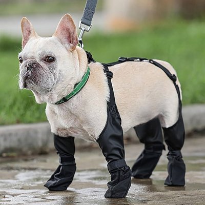 Bottes de protection intégrales, couvre pattes imperméables noirs pour chien en promenade extérieur.