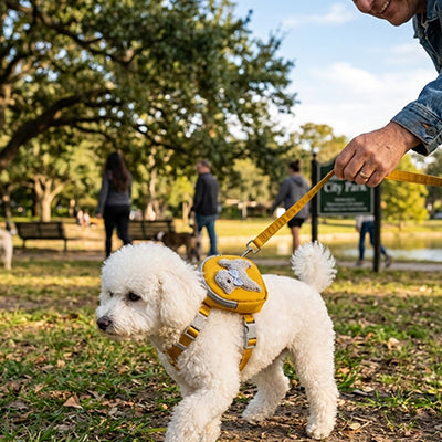 Harnais avec sac à dos jaune pour petit chien, ensemble laisse et harnais WOOFit en tissu, idéal pour les balades en ville, boutique Pitou et moi.