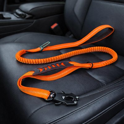 Ceinture de sécurité pour chien 