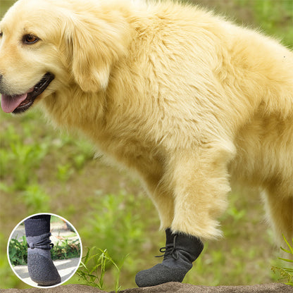 Chien Golden Retriever portant les chaussures Paw Control noires en extérieur, avec un insert en gros plan montrant le cordon de serrage ajustable et la texture du tricot pour un confort sur-mesure.