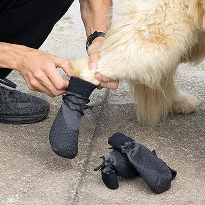 Mise en place d'une chaussure Paw Control sur la patte d'un Golden Retriever, montrant la facilité d'enfilage grâce au col élastique en tricot et le système de serrage ajustable pour un maintien sécurisé.
