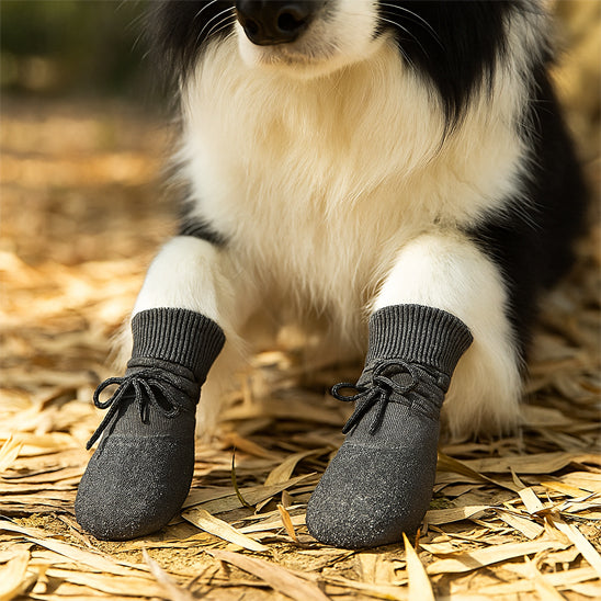 Chien Border Collie assis portant les chaussures Paw Control noires, mettant en évidence le col montant en tricot qui protège le bas des pattes et les lacets ajustables pour un maintien parfait.