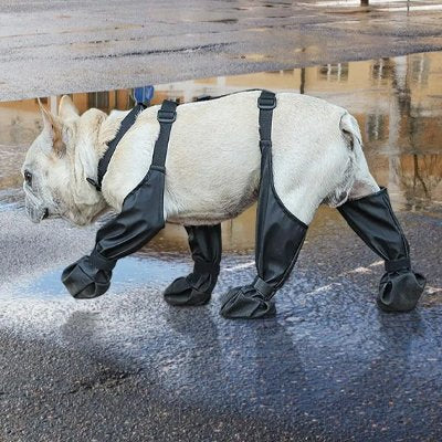 Bottes de protection intégrales, couvre pattes imperméables noirs pour chien en promenade extérieur.