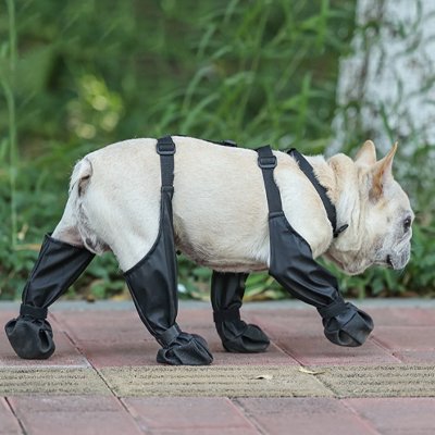 Bottes de protection intégrales, couvre pattes imperméables noirs pour chien en promenade extérieur.