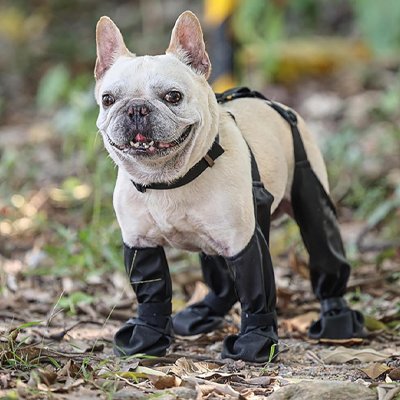 Bottes de protection intégrales, couvre pattes imperméables noirs pour chien en promenade extérieur.